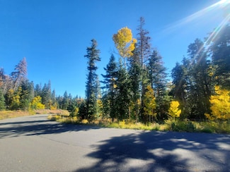 0 82 Unit 25-261262, Kolob, UT 84779