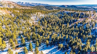TBD Lot 13 Beaver Creek Dr, Bayfield, CO 81122