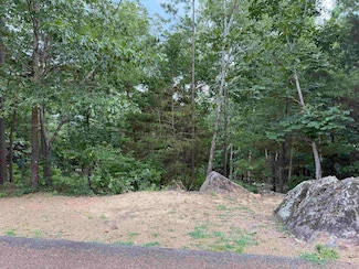 Lot 37R Stony Ridge Rd, Valley Township, AR 72543