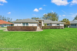 9665 Southern Belle Dr, Weeki Wachee, FL 34613