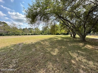423 Cactus Rd, Duson, LA 70529