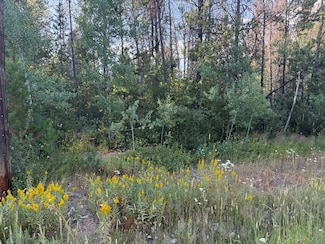 200 Angus Ln Unit 5, Donnelly, ID 83615