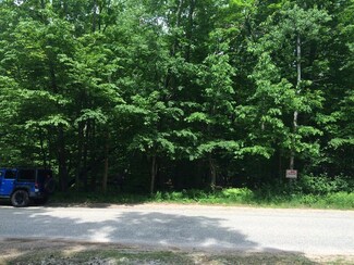 0 Douglas Lake Rd Unit 318219, Pellston, MI 49769