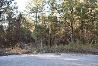 Lot 3C S Pleasant Dr, Defuniak Springs, FL 32435