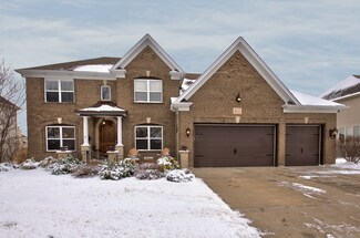 12717 Grande Pines Blvd, Plainfield, IL 60585