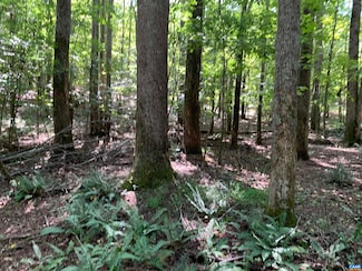 Lot1 Green Creek Rd, Schuyler, VA 22969