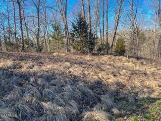 Lot 51 Fork Horn Trail, Dandridge, TN 37725