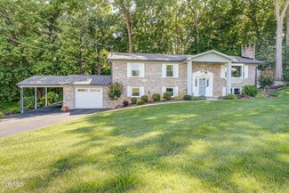 143 Dawn Dr, Johnson City, TN 37615