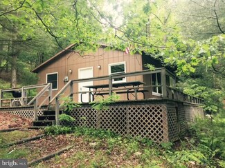225 Langhorne Dr, Mathias, WV 26812