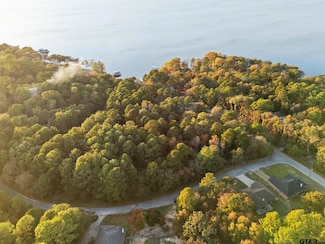 20745 Bay Shore Dr, Flint, TX 75762