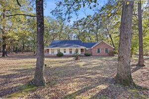 10048 Foxtail Ln, Danville, AR 72833
