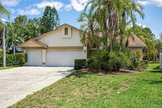11638 Branch Mooring Dr, Tampa, FL 33635