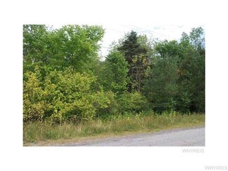 VL Partridge Rd Lot #3, Colden, NY 14033