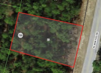 8134 N Santos Dr, Citrus Springs, FL 34434