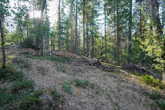 157 Canyon View, Hathaway Pines, CA 95233