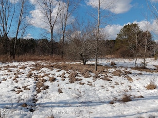 8 Bennington Greens Dr, Owosso, MI 48867