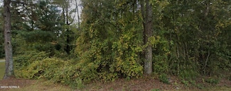 1179 Buck Swamp Rd, Pikeville, NC 27863