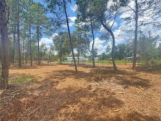 0 Pine St Unit MFRG5100104, Paisley, FL 32767