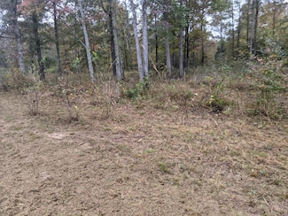 2711 Brodies Landing Rd, Parsons, TN 38363
