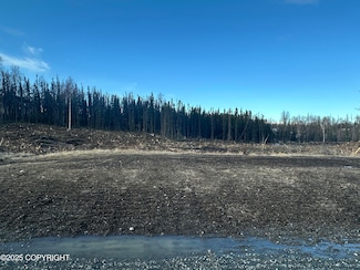 5153 Kelsi Loop, Knik-Fairview, AK 99654