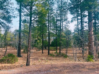 6331 E Starlight Ridge Rd, Lakeside, AZ 85929