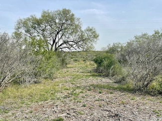 173 County Road 1670, Moore, TX 78057