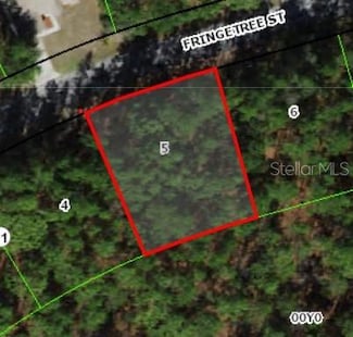 37 Fringetree St, Sugarmill Woods, FL 34446