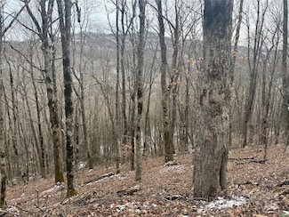 234 + 235 Hanging Rock Rd, Mars Hill, NC 28754