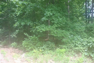 YMCA S Muscatel & YMcA Ln, Counce, TN 38326