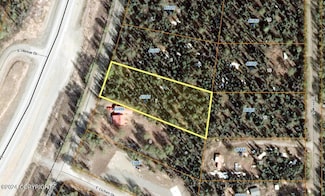 45981 S Parka Pkwy, Talkeetna, AK 99676