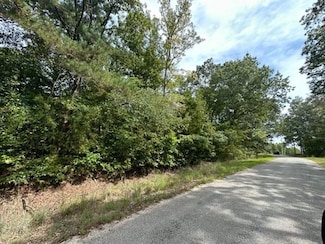 TRACT 7 Butler Rd, Pinson, TN 38366