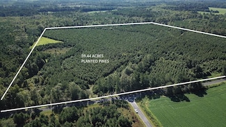 0 Johnsville Rd Unit 23086540, Smoaks, SC 29481