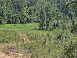 0 Shady Grove Rd Unit 21308897, Grady, AL 36036