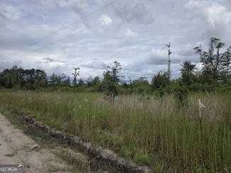 0 Riggs Ln, Claxton, GA 30417