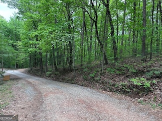 TR1TR3 Flat Branch Trail, Ellijay, GA 30540