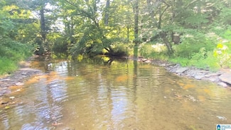 0 U S 231 Unit 190+/- Acres, Oneonta, AL 35121