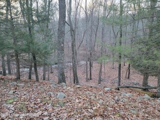 T 508 20 Fawn Rd, East Stroudsburg, PA 18301