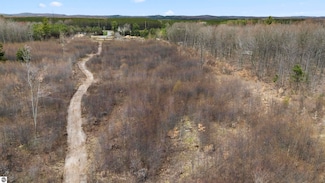 Parcel D E 32 Rd, Hoxeyville, MI 49601