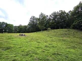 Tbd Green Valley Rd, Peterstown, WV 24963