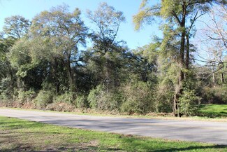 4160 Judge Logue Rd, Newton, AL 36352
