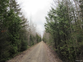 TBD Deerton-Sand Lake Rd, Deerton, MI 49822