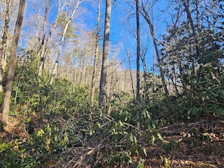 Lot 5 Ruffed Grouse Rd, Cashiers, NC 28717
