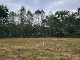 11477 Hidden Oaks Dr, Clio, MI 48420