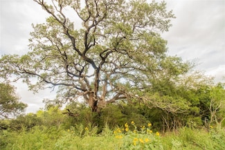 862 Dowdy Rd, Seguin, TX 78155