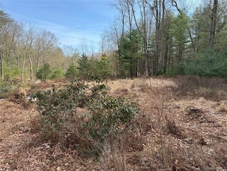 0 Echo Rd, Bloomingburg, NY 12721