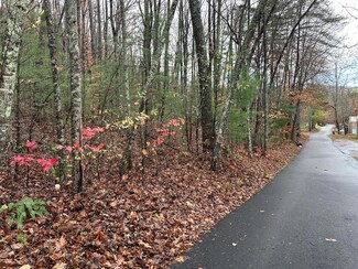 5.7 ac Butternut Grove Rd, Blairsville, GA 30512