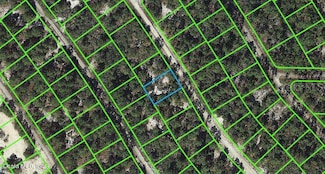 520 Summer Hill Dr, Lake Placid, FL 33852