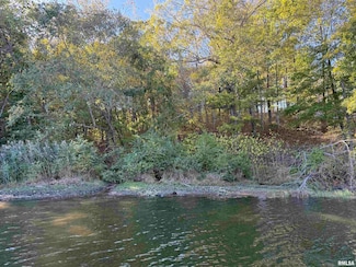 000 Clifty Ln, Goreville, IL 62939