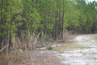 1 Claude Rd, Waverly, GA 31565