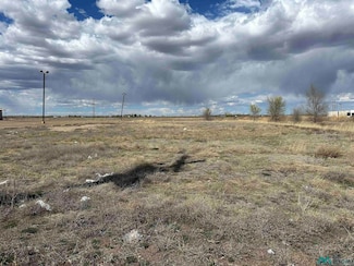 4420 Mabry Dr, Clovis, NM 88101